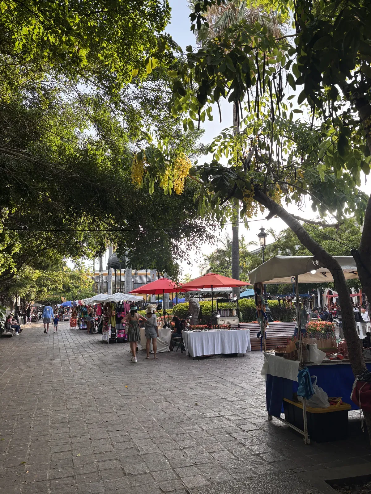 Why I'm writing Settle Mexico