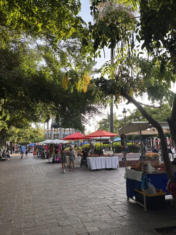 Why I'm writing Settle Mexico